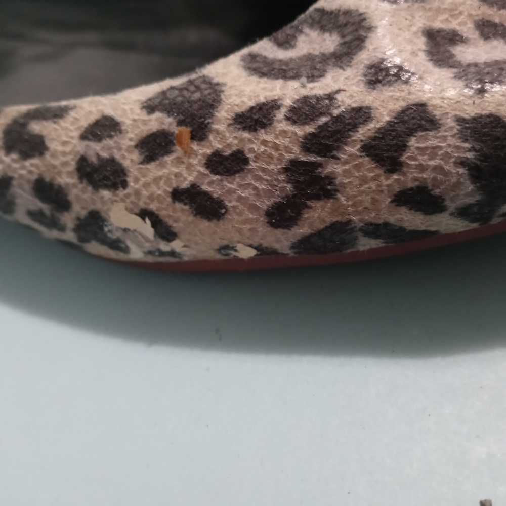 Cheetah Flats - Picture 2 of 5